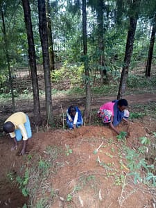 Tree planting by all ages